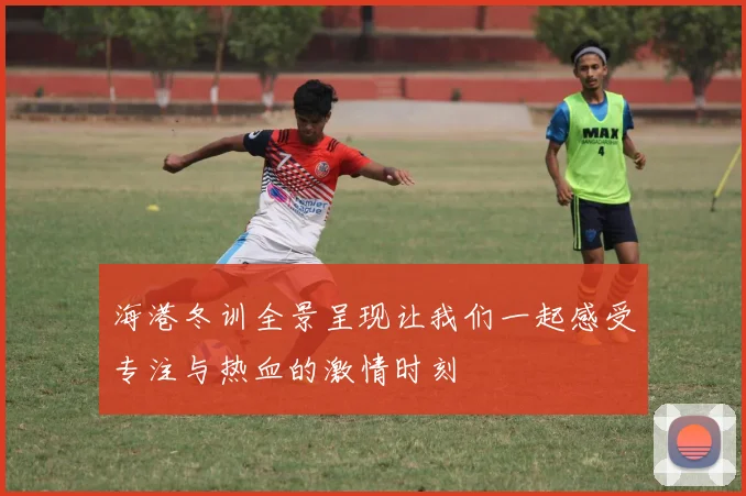 海港冬训全景呈现让我们一起感受专注与热血的激情时刻