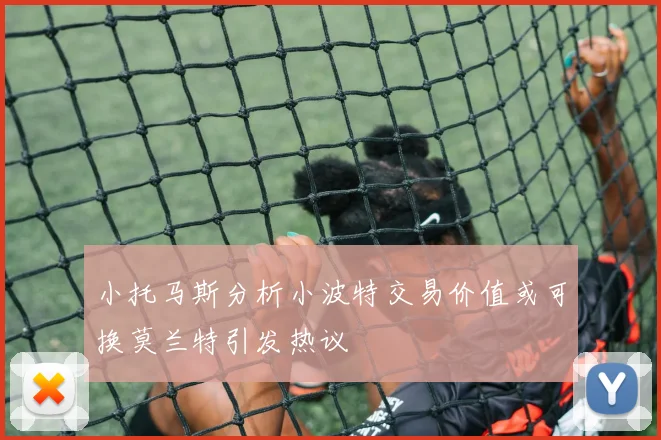 小托马斯分析小波特交易价值或可换莫兰特引发热议